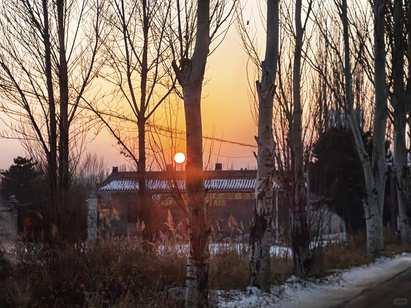 落日与老歌，缝补一天的倦怠