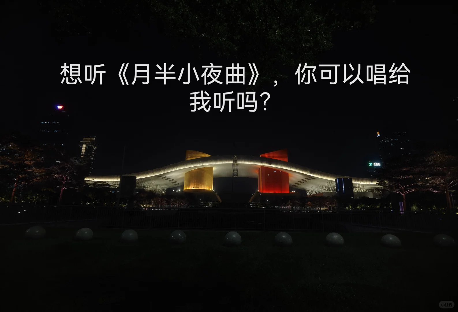 《月半小夜曲》