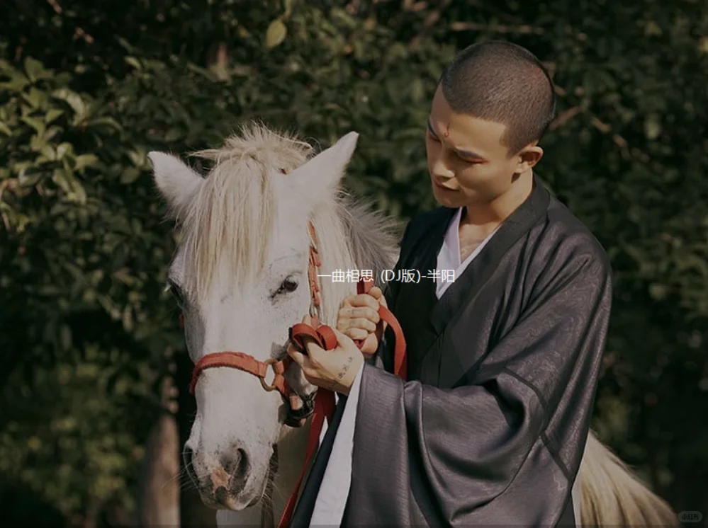 短视频平台十大古风歌曲