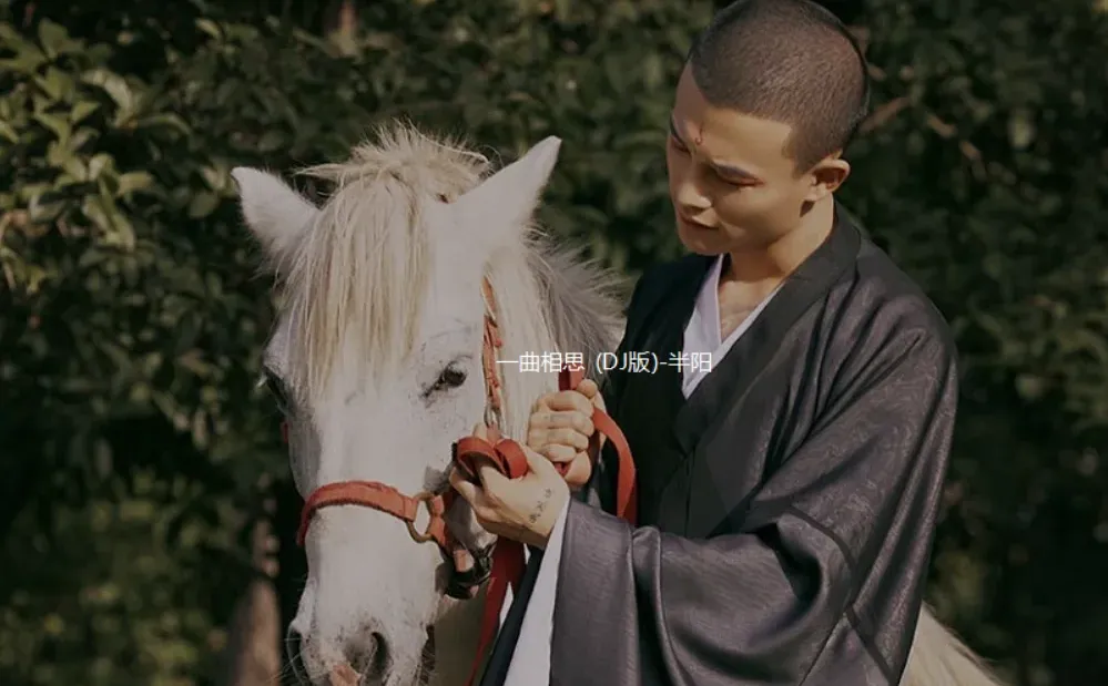 短视频平台十大古风歌曲