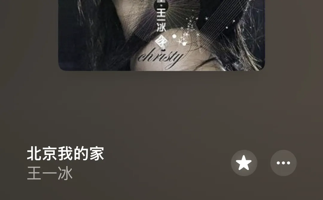 宝藏歌手 王一冰