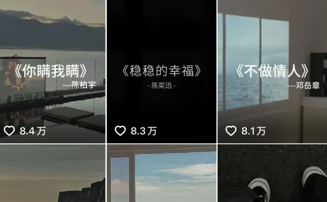 这流量还有那个赛道能比