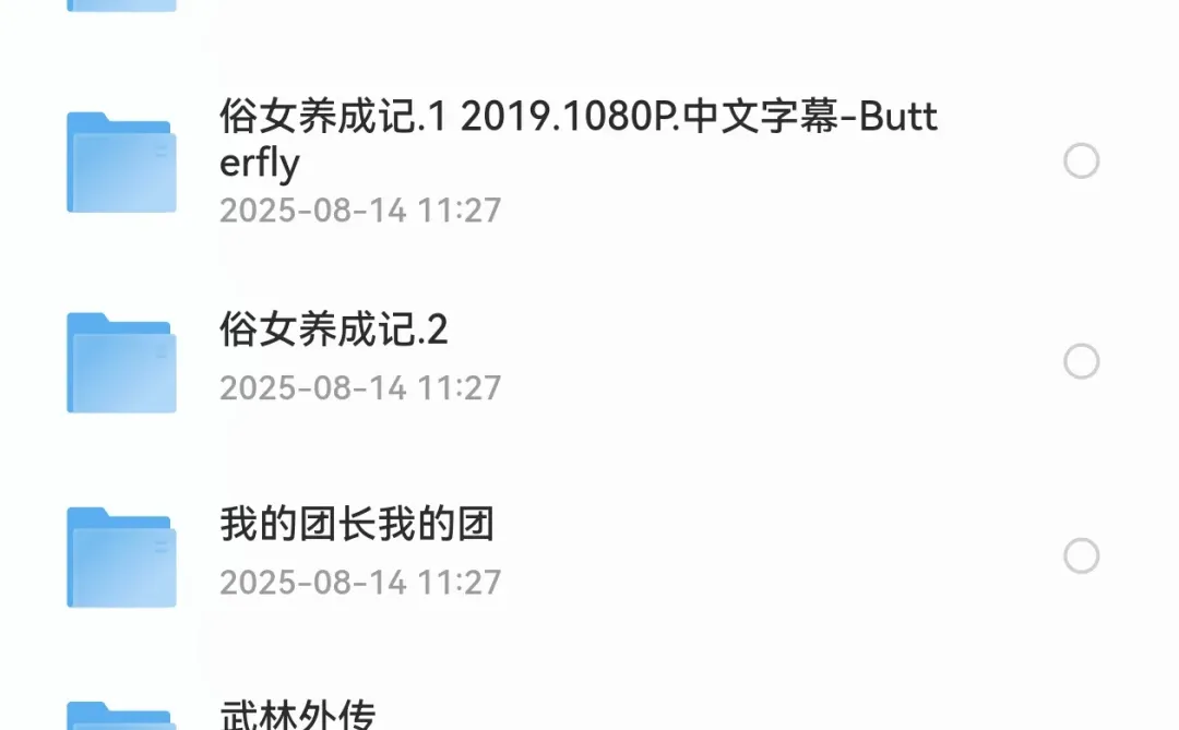 评分9分以上的国产电视剧（32部）