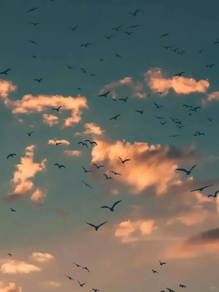 超好听的华语歌单列表🍃🍃