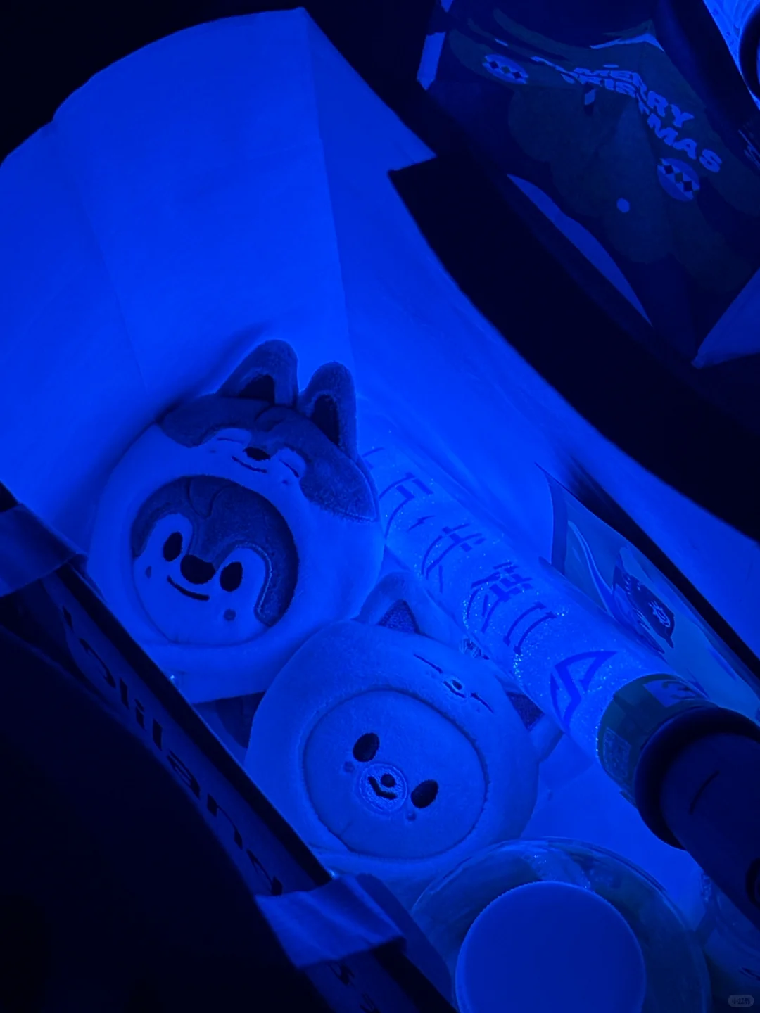 来到罗曼城ktv啦