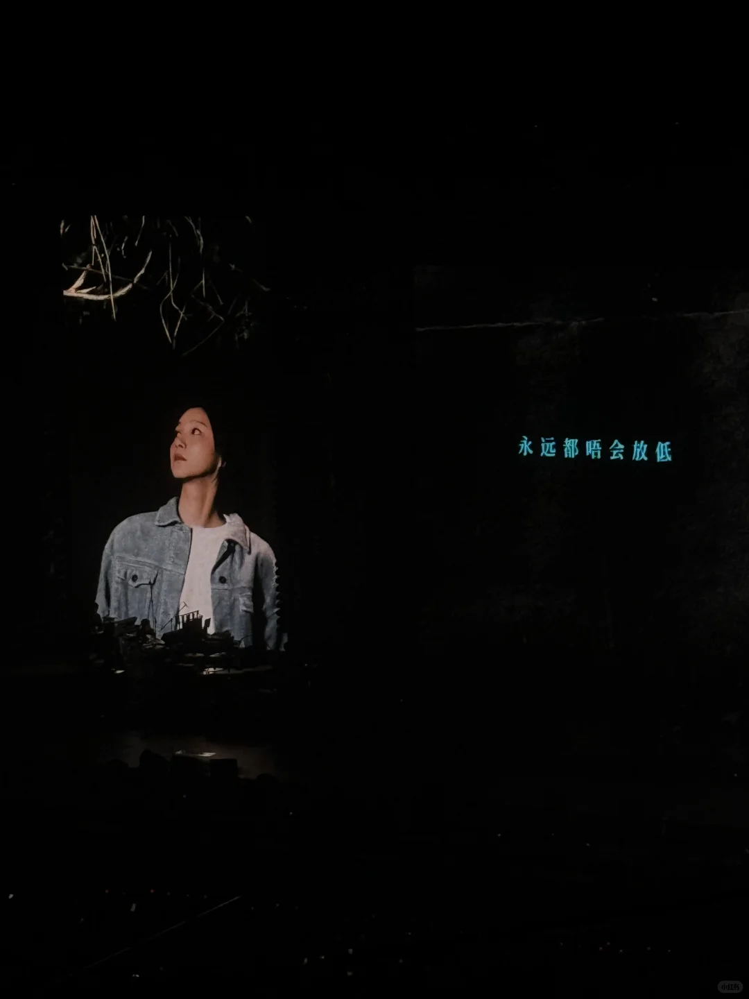 陪伴我整个青春的DearJane.