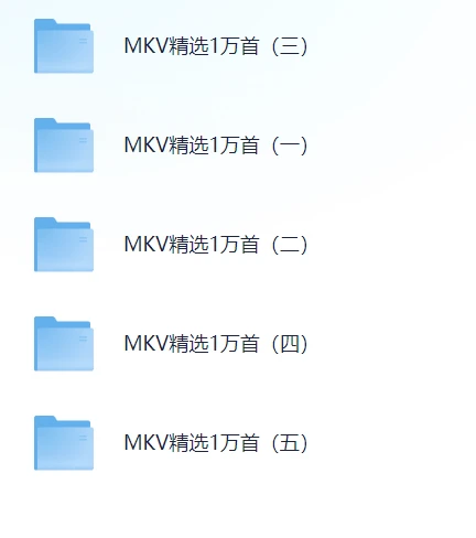 MTV精选歌曲,卡拉OK音轨