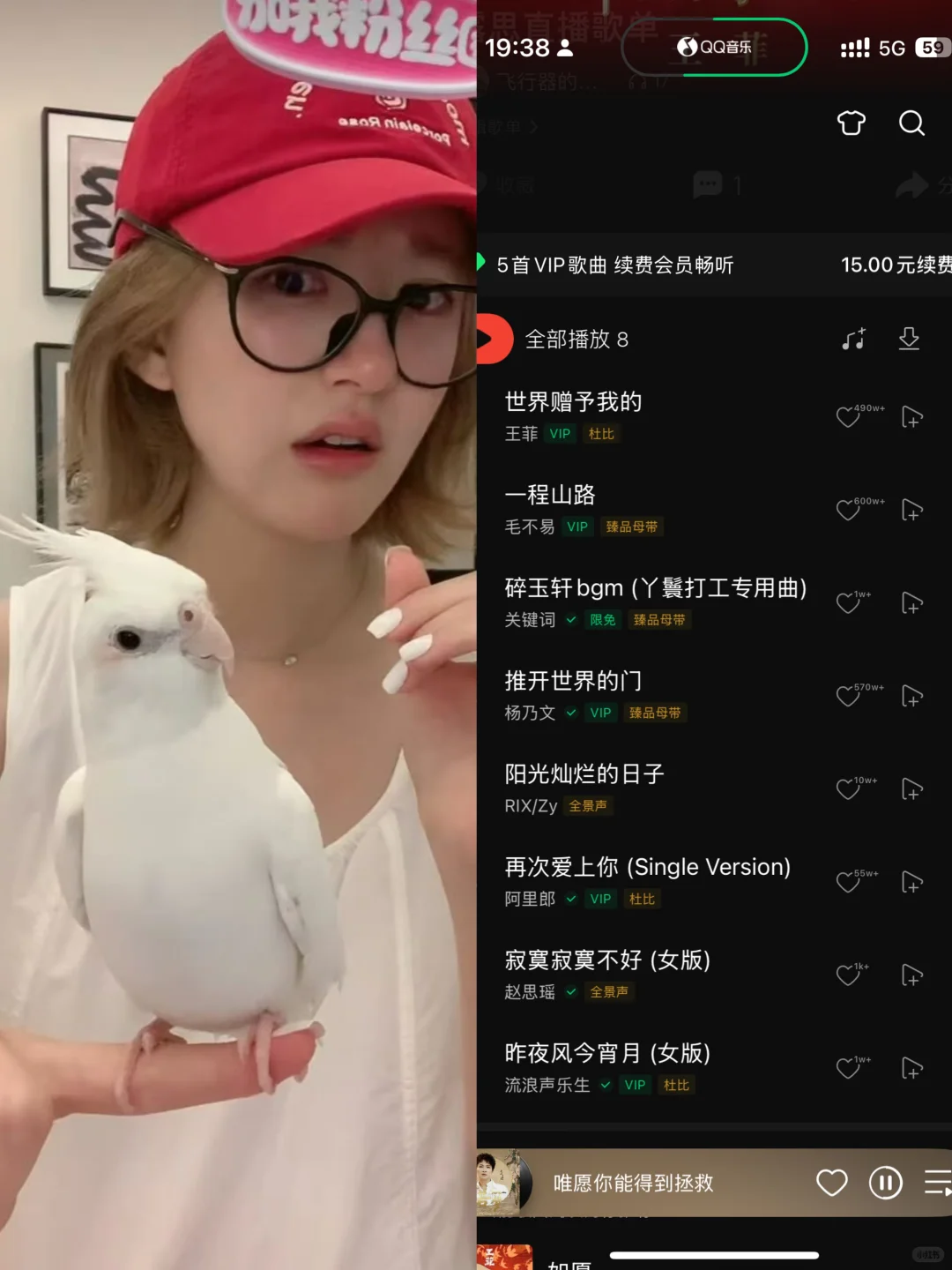 露思直播部分歌单