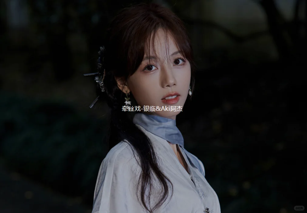 短视频平台十大古风歌曲