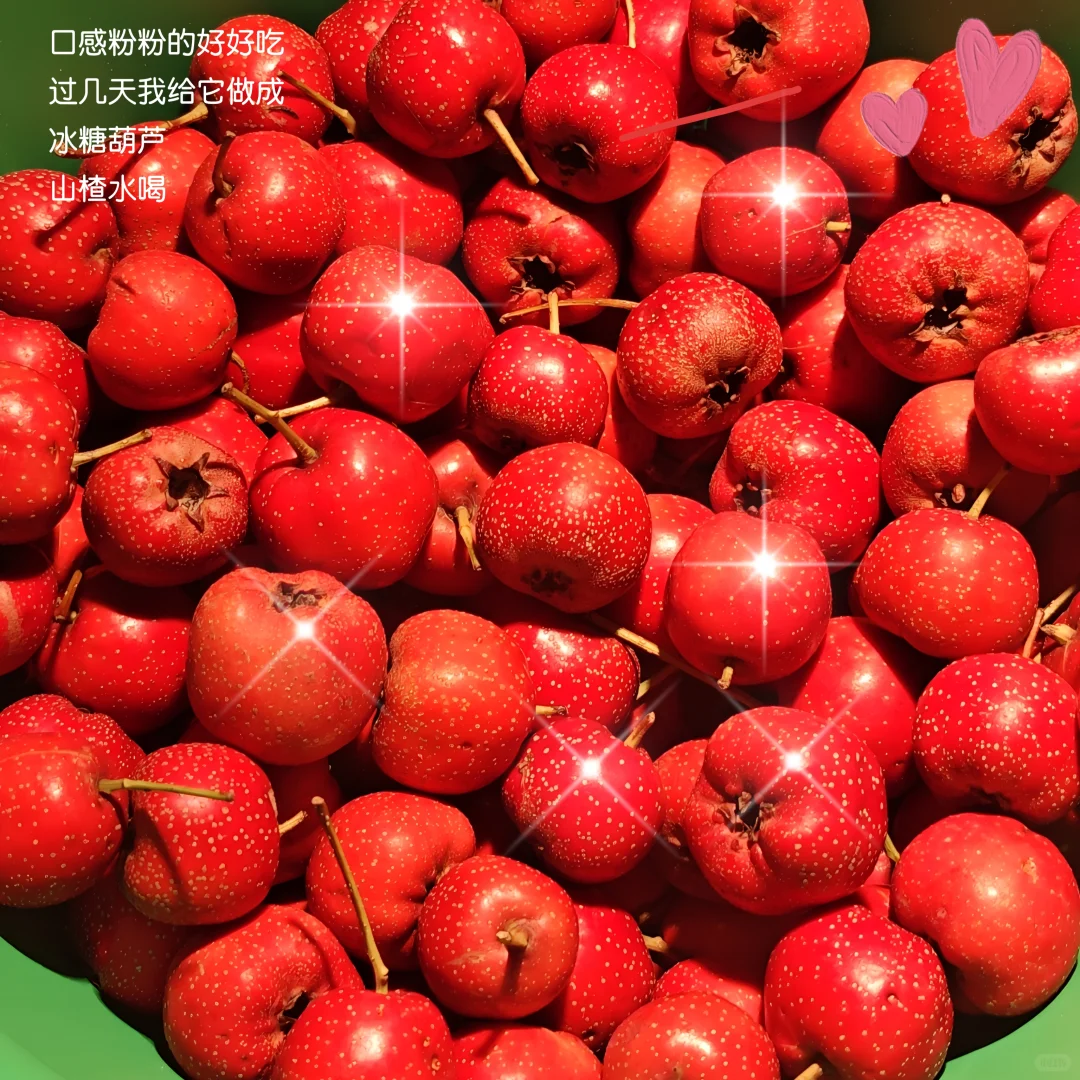 plog 新人博主勇闯自媒体的第二天收货很多