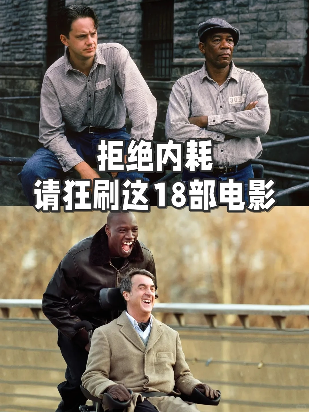 拒绝内耗，请狂刷这18部电影