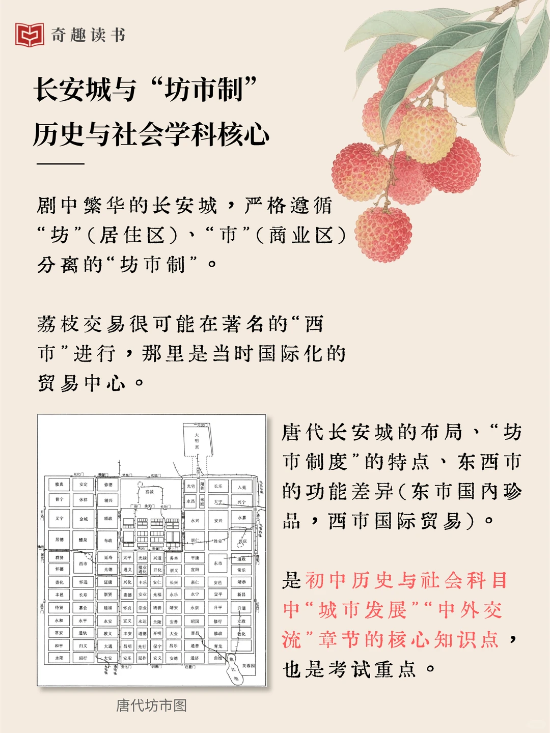 扒《长安的荔枝》发现知识？这些考点别错过