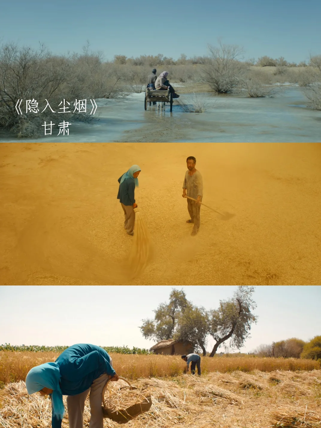 各省代表电影！你的家乡排面拉满了🎬