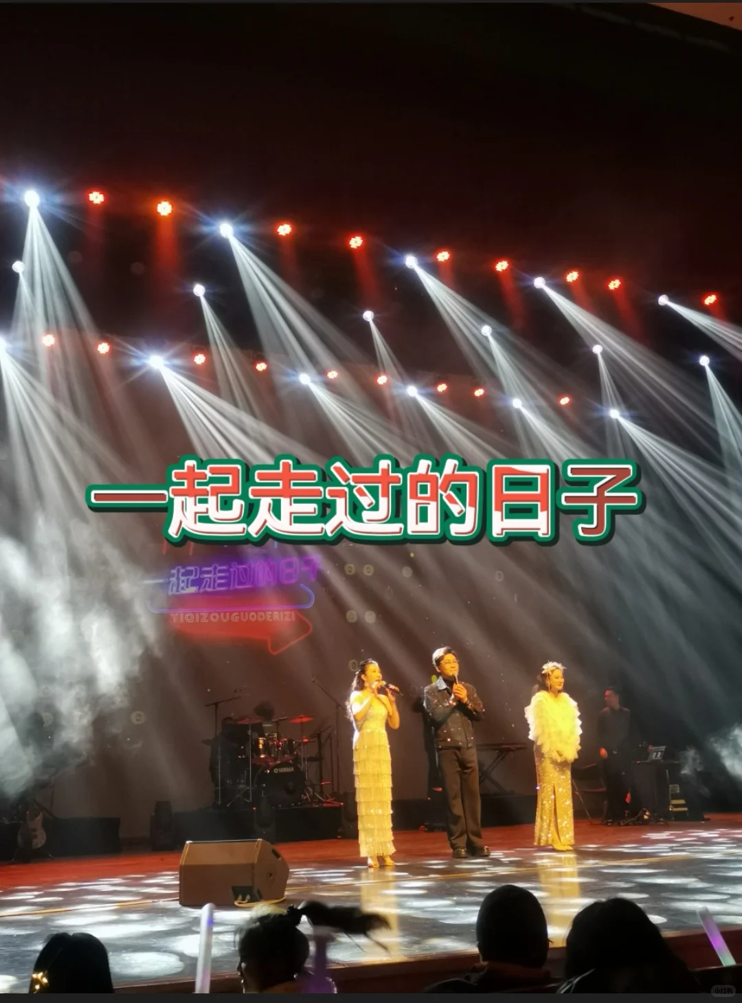 一起走过的日子经典老歌演唱会