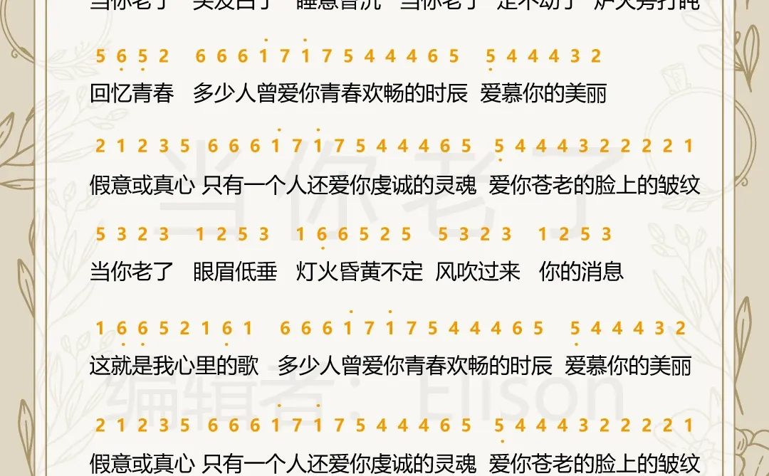 如愿，当你老了，电子琴谱🌟