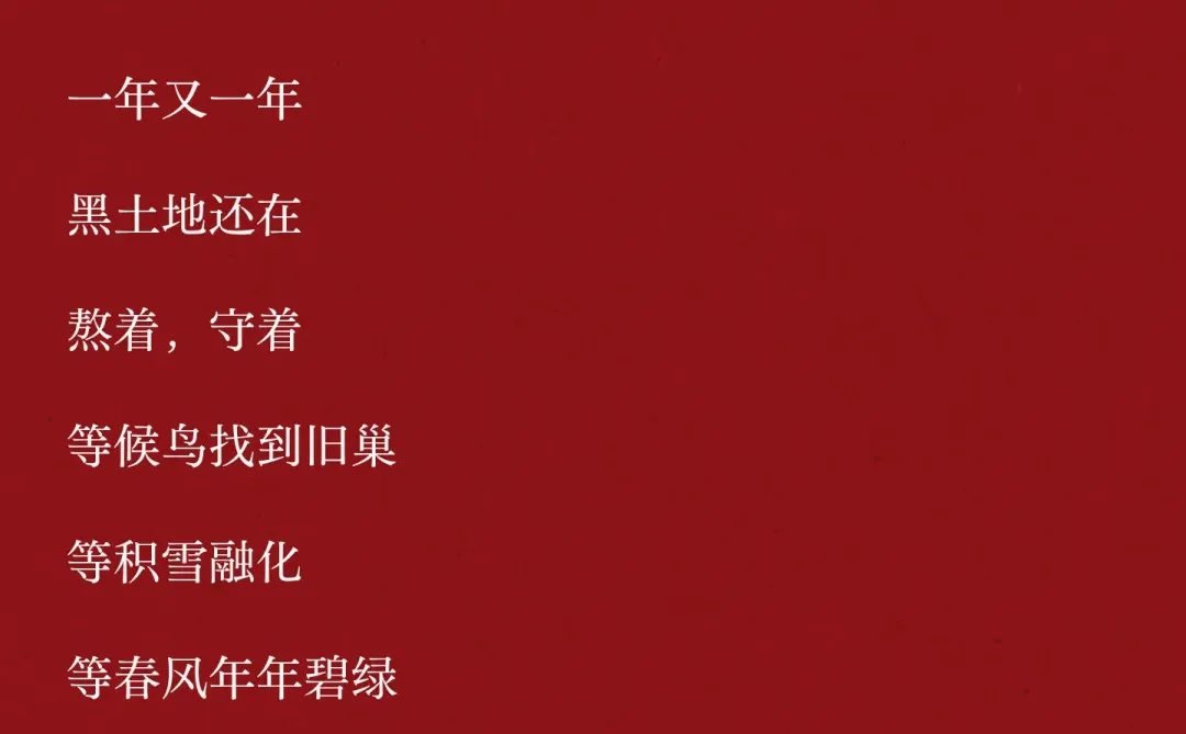 没有哪个东北小孩能抵挡“咱们家下雪了”