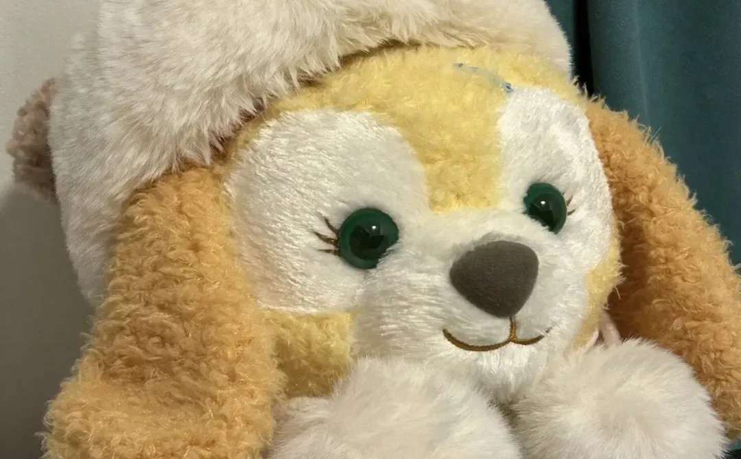 那里冬天会下雪～