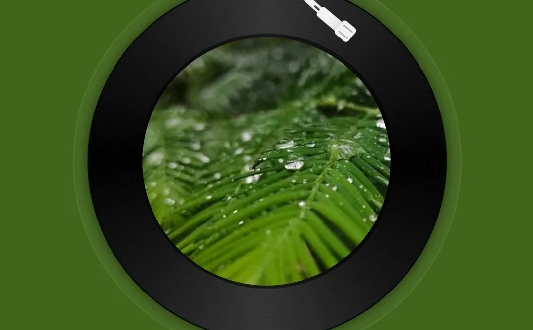 请君为我歌（影视版） - 时百共长