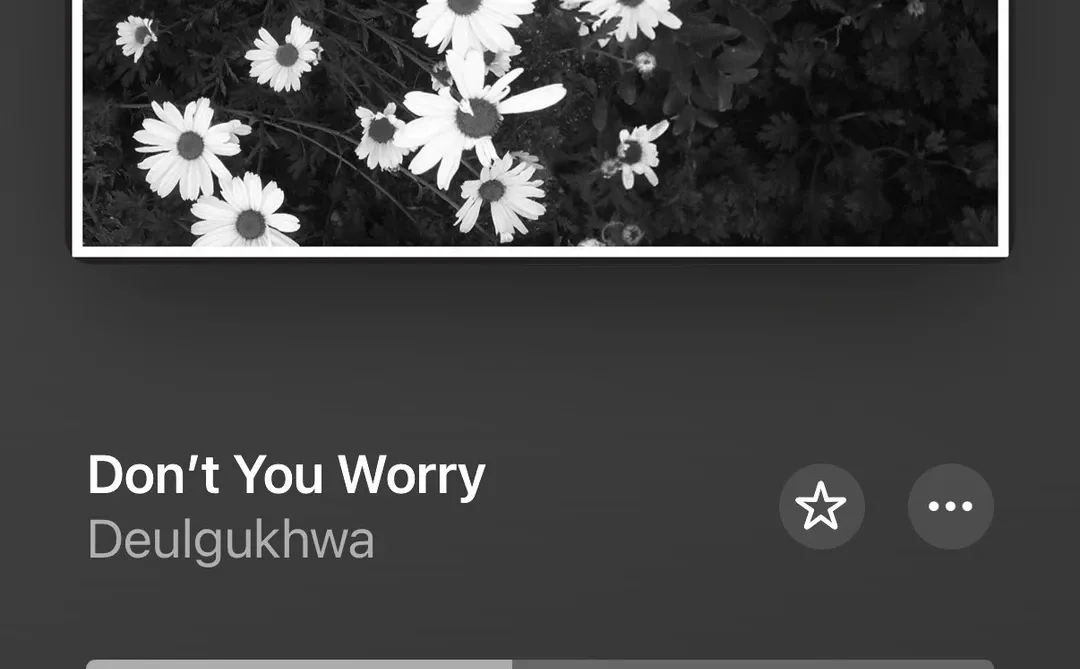 突然冒出的歌曲