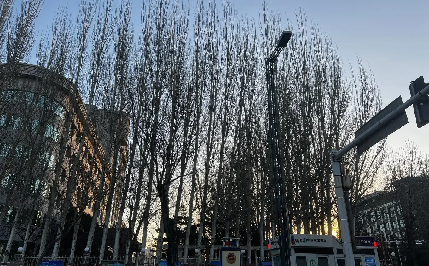 慢慢地喜欢简简单单的浪漫