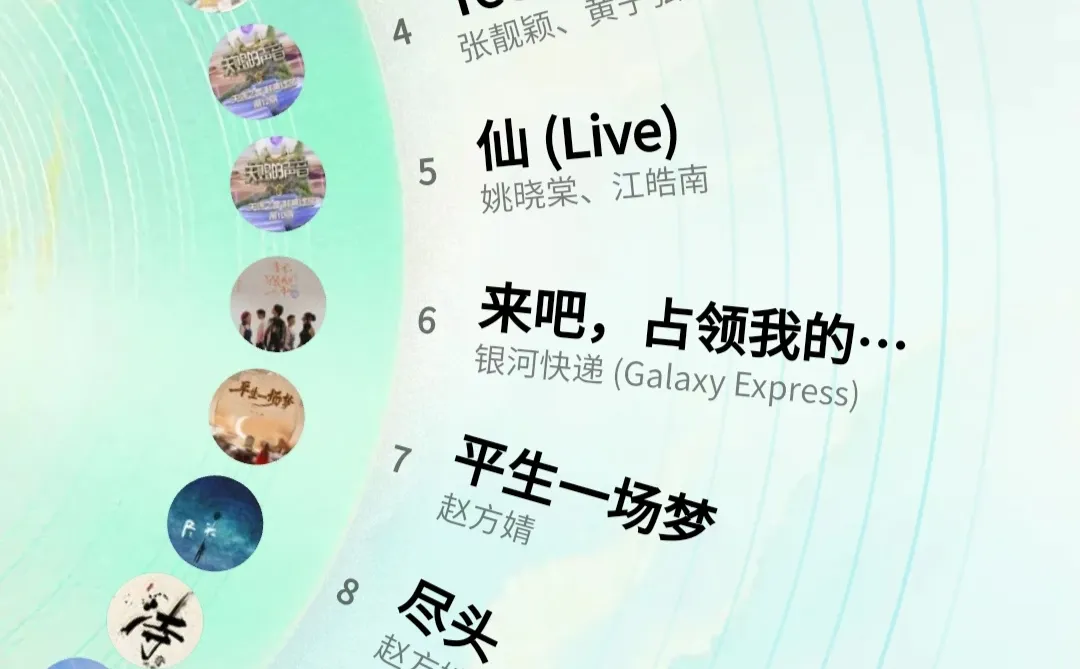 可以看看你的年度歌曲榜单吗