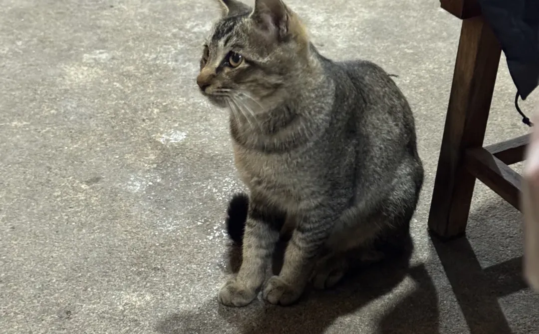 今年人的素质是不是变更低了……