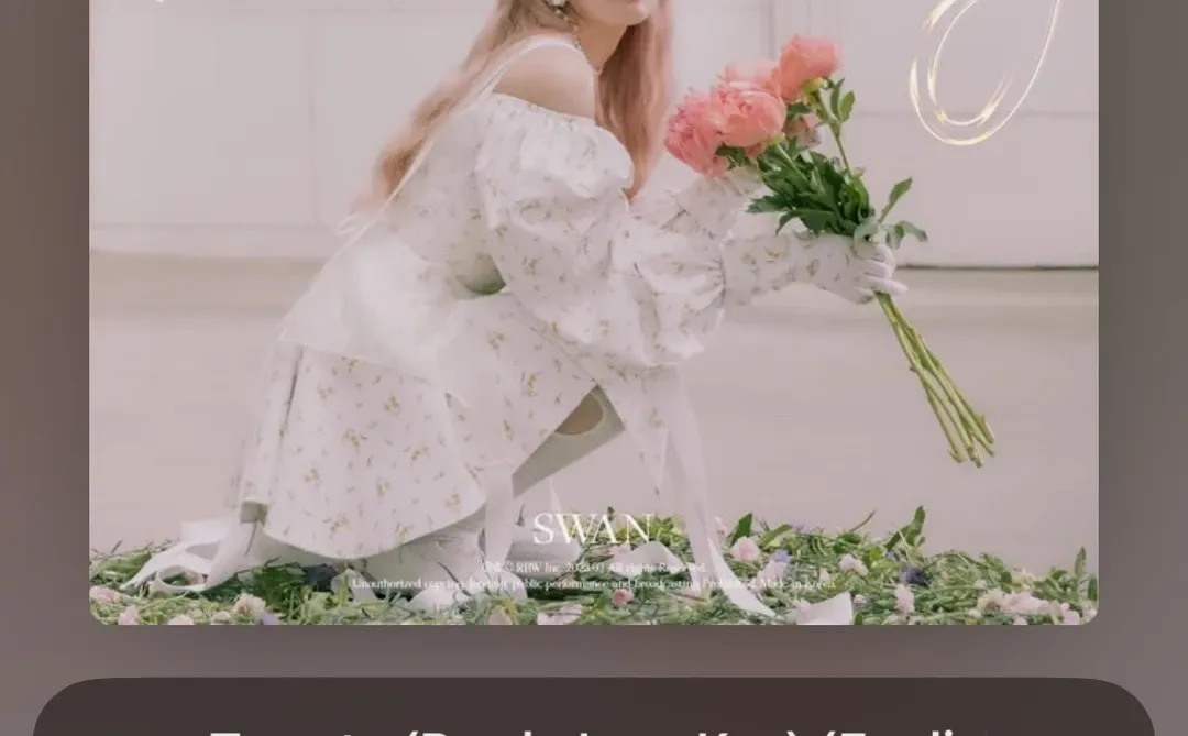 每日歌曲推荐🎵💐🌝