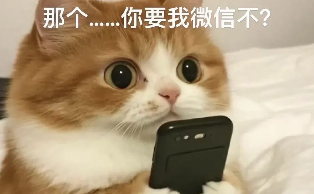 我想听个动画片歌曲，中不中