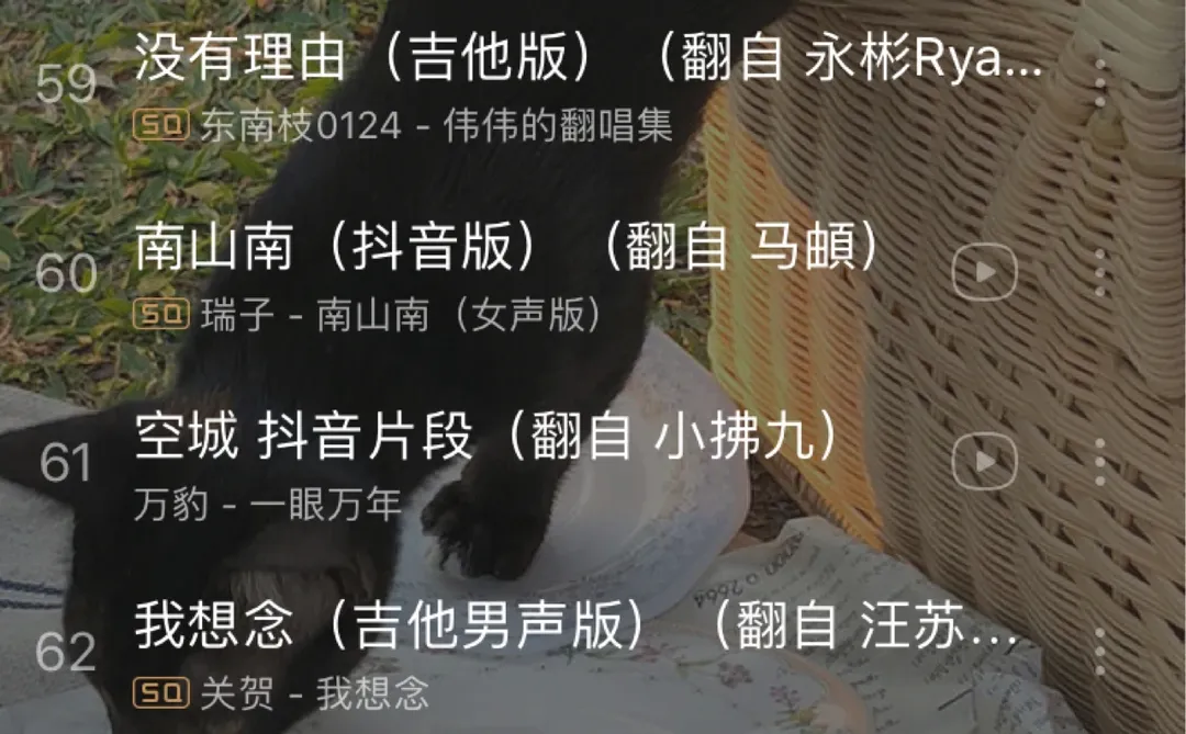 2020抖音最火歌单💥