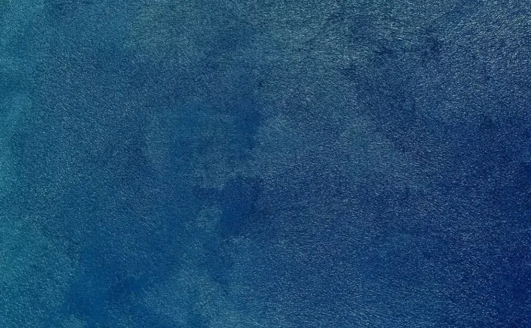 丹枫国际｜冬日歌单：从华语情怀到世界律动