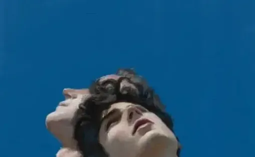 同志必看的5部电影：从影史经典到现代童话