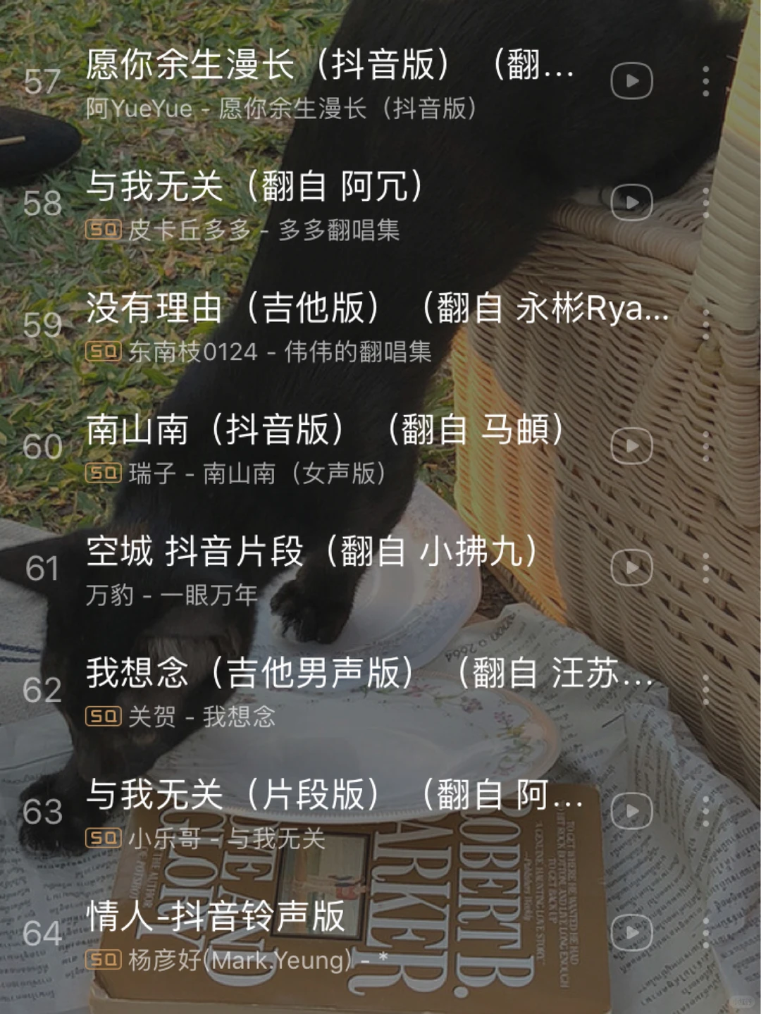 2020抖音最火歌单💥