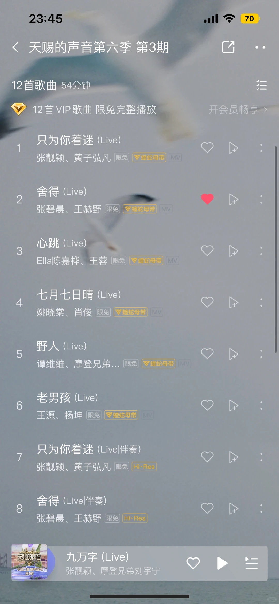 今年天赐的声音抖歌含量真高啊‼️