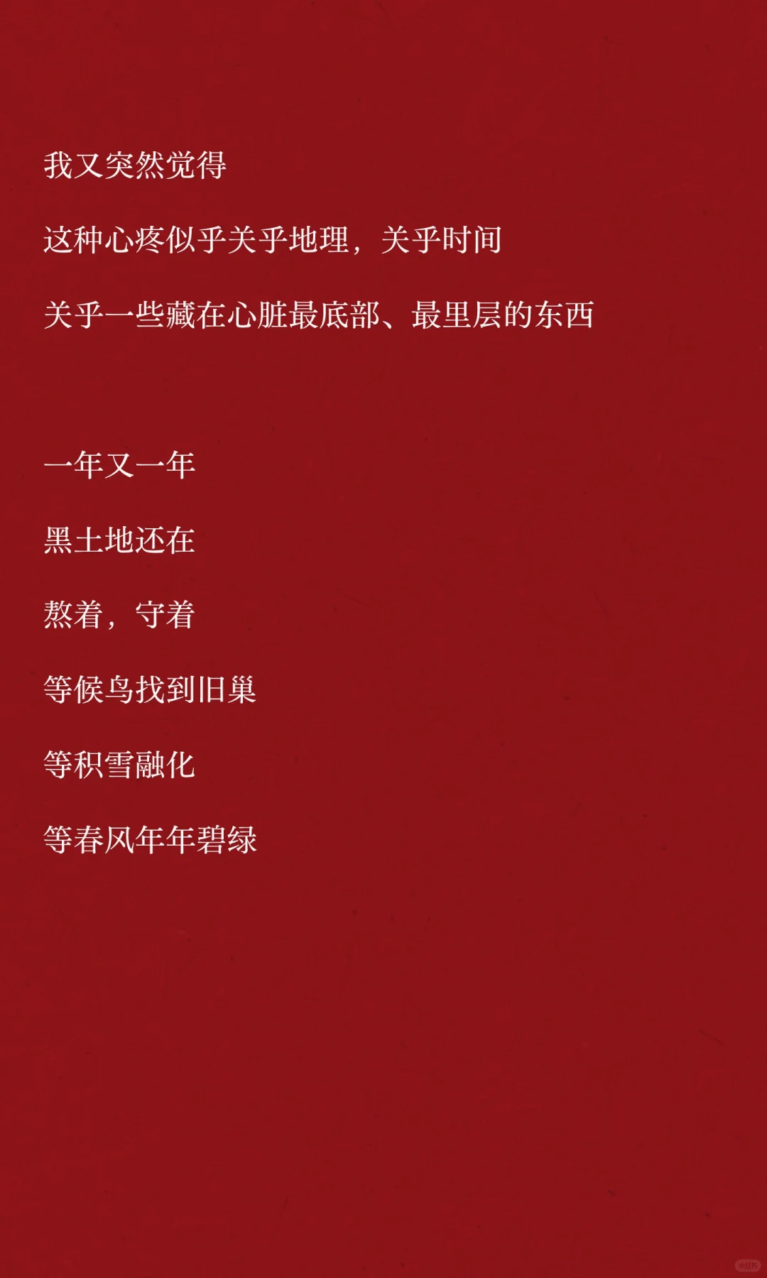 没有哪个东北小孩能抵挡“咱们家下雪了”