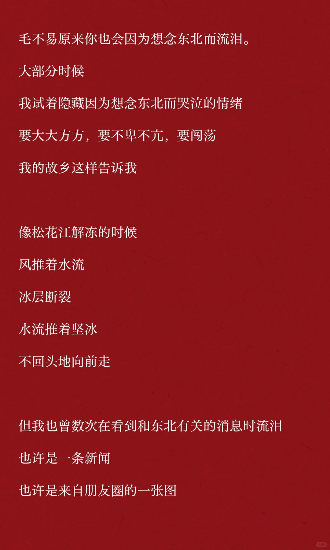 没有哪个东北小孩能抵挡“咱们家下雪了”