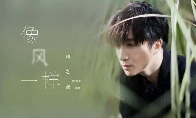 《像风一样》薛之谦 歌词及背后的故事