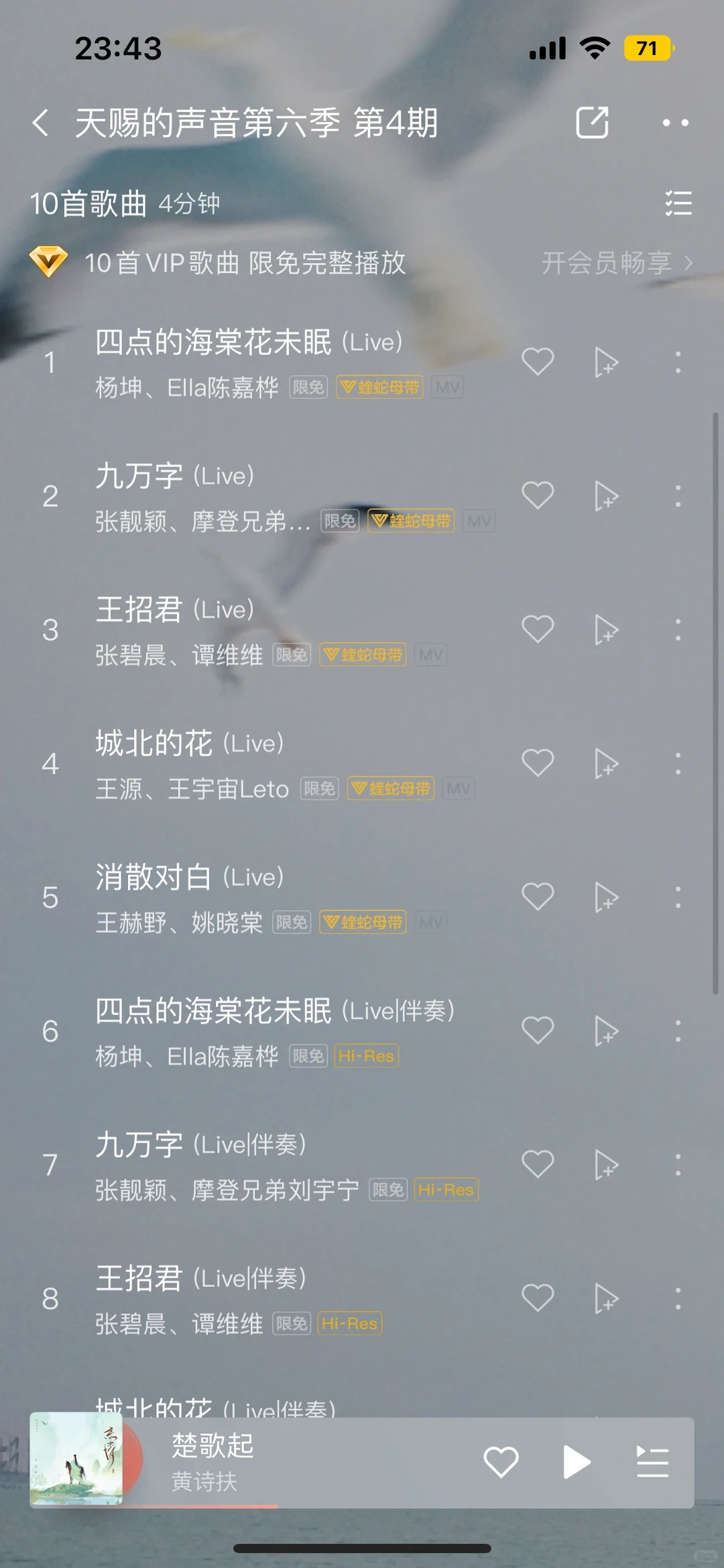 今年天赐的声音抖歌含量真高啊‼️