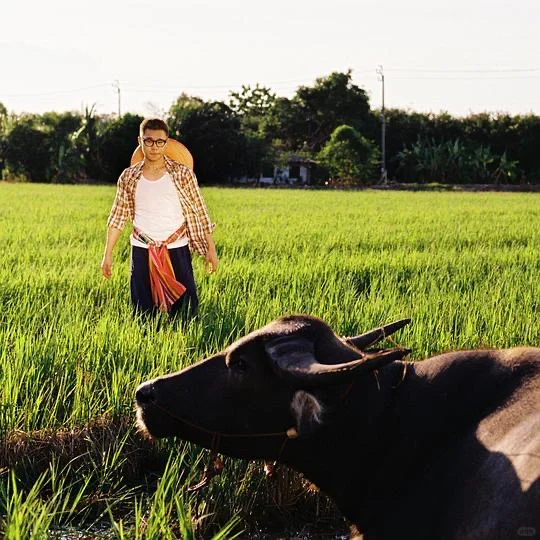 2025我的年度十佳华语单曲