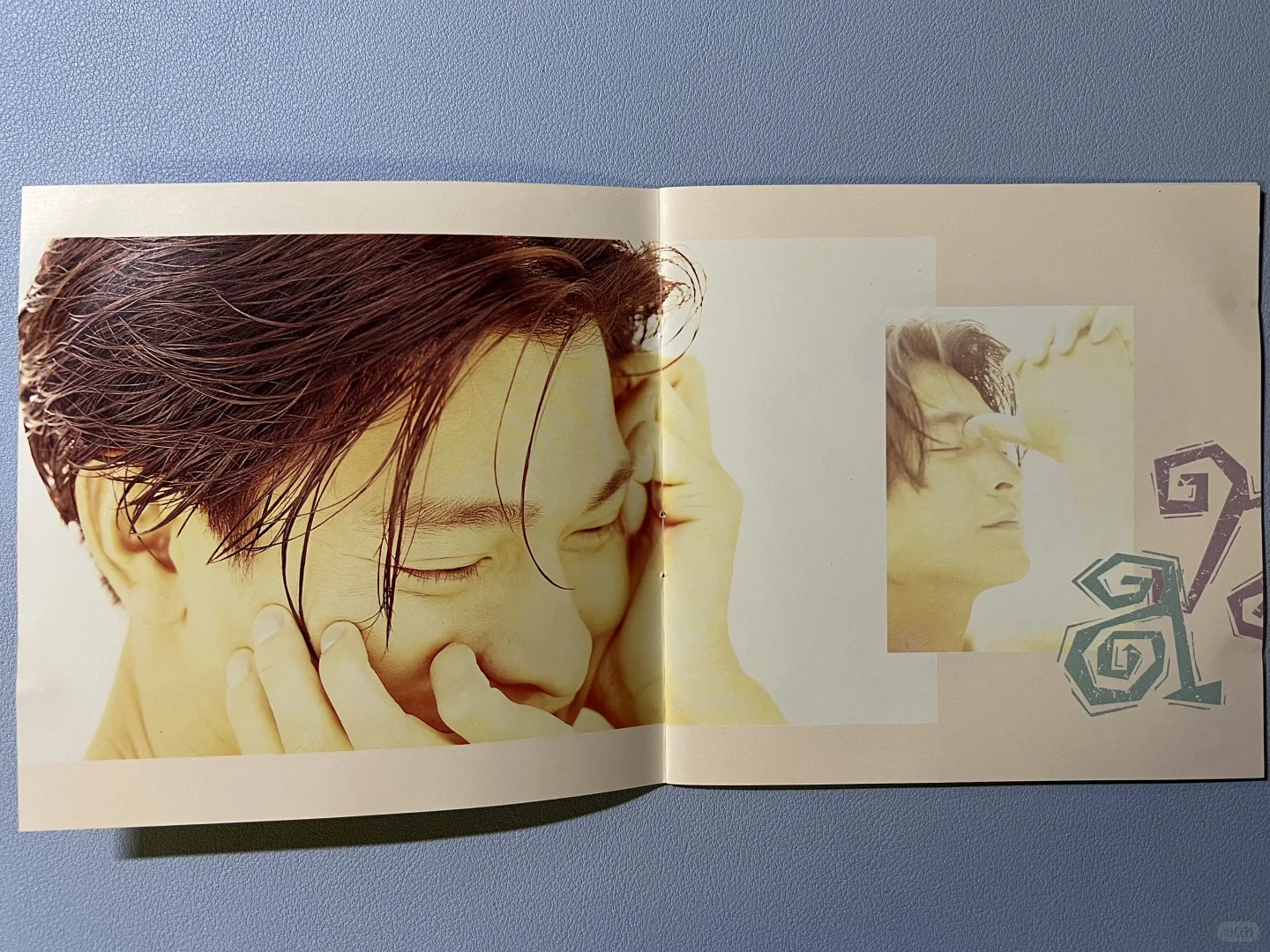 评 刘德华 真情盼望珍藏版港版CD