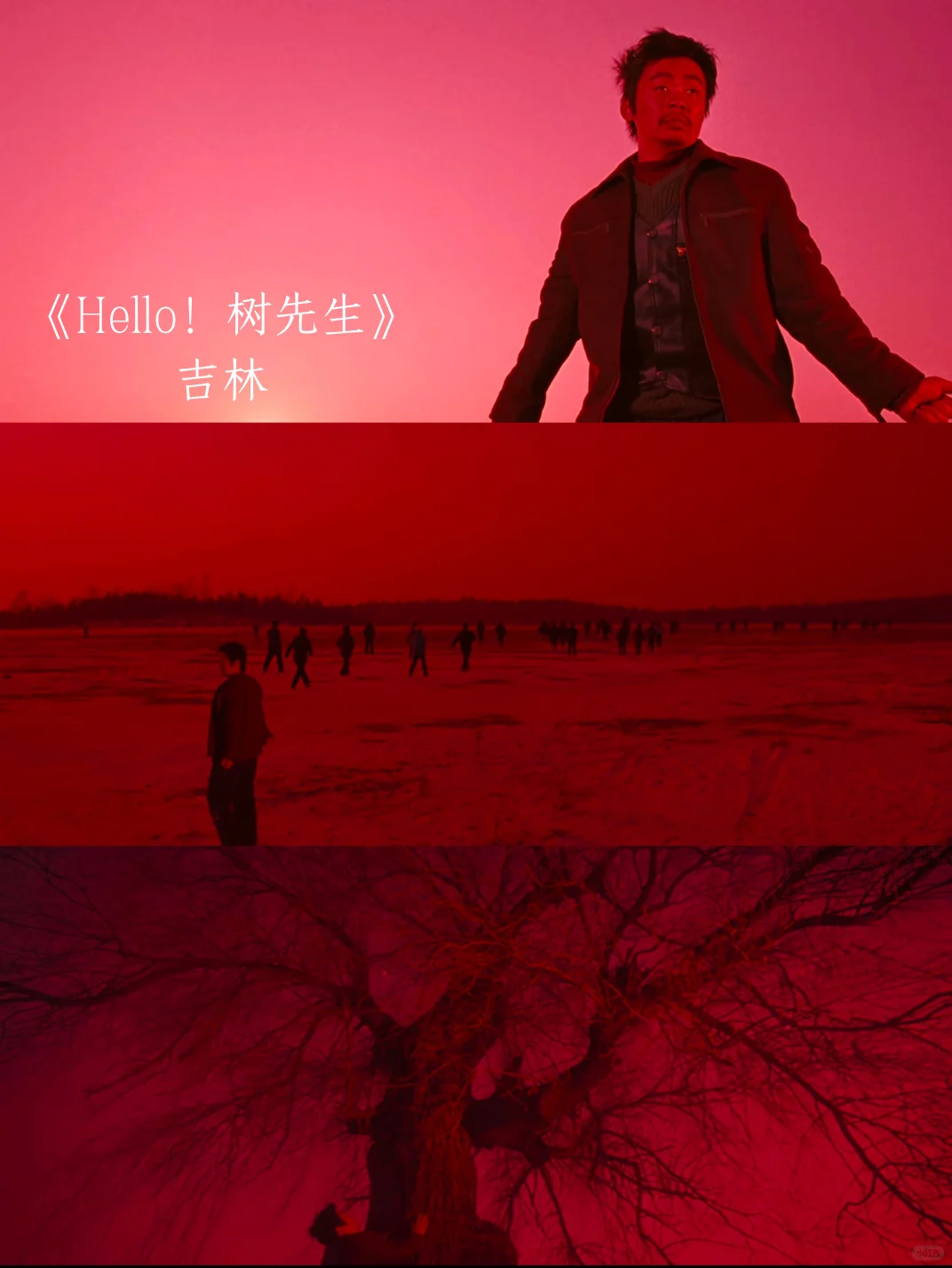 各省代表电影！你的家乡排面拉满了🎬