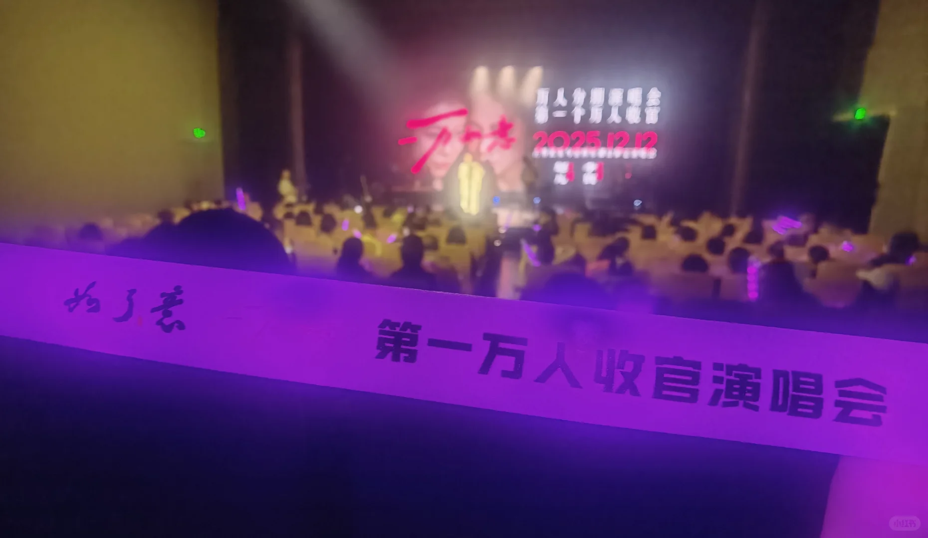 如了意 年终收官演唱会