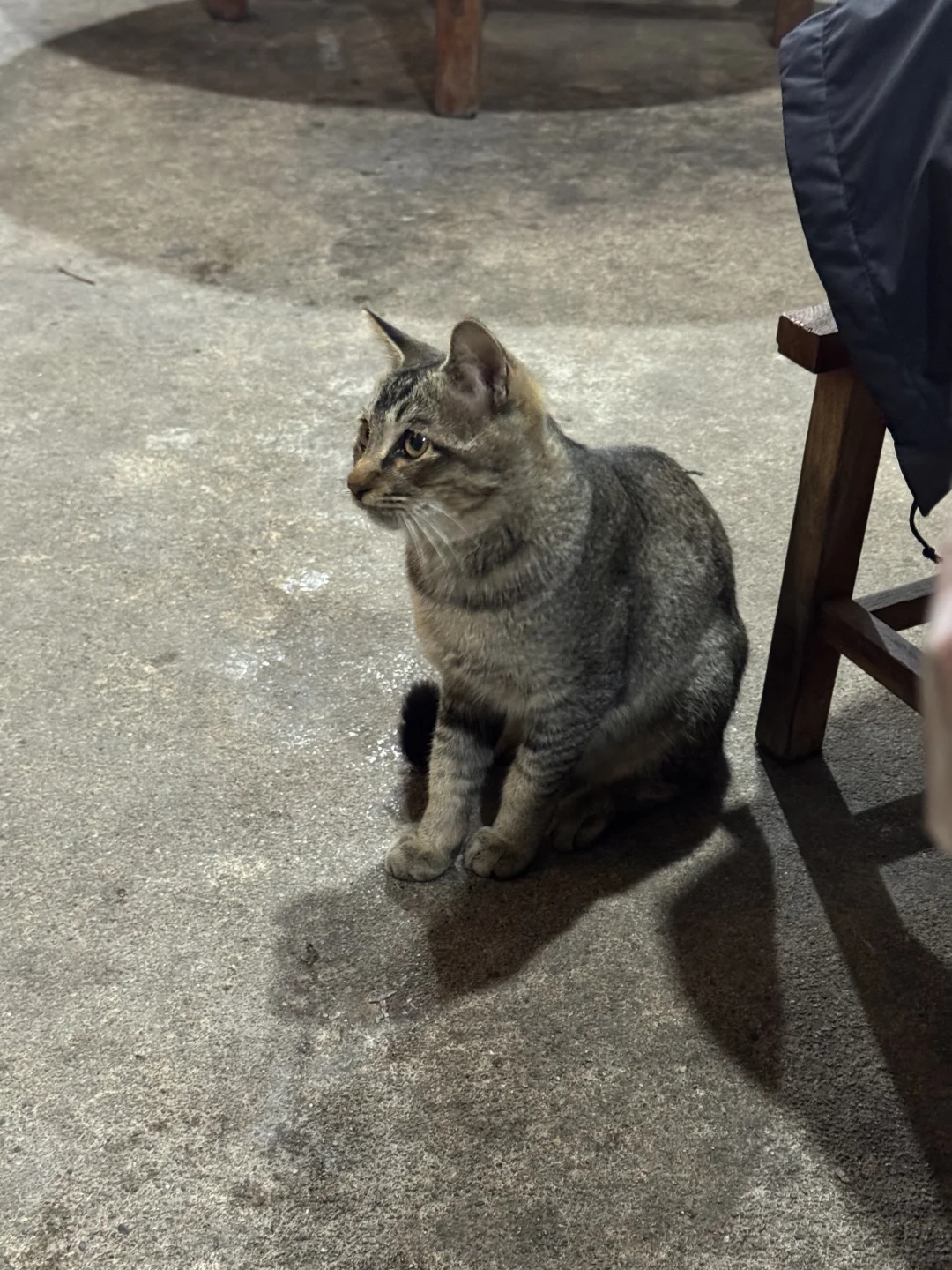 今年人的素质是不是变更低了……