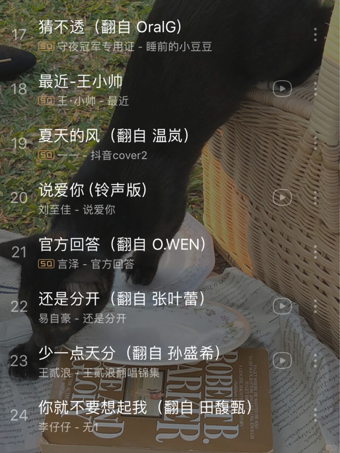 2020抖音最火歌单💥