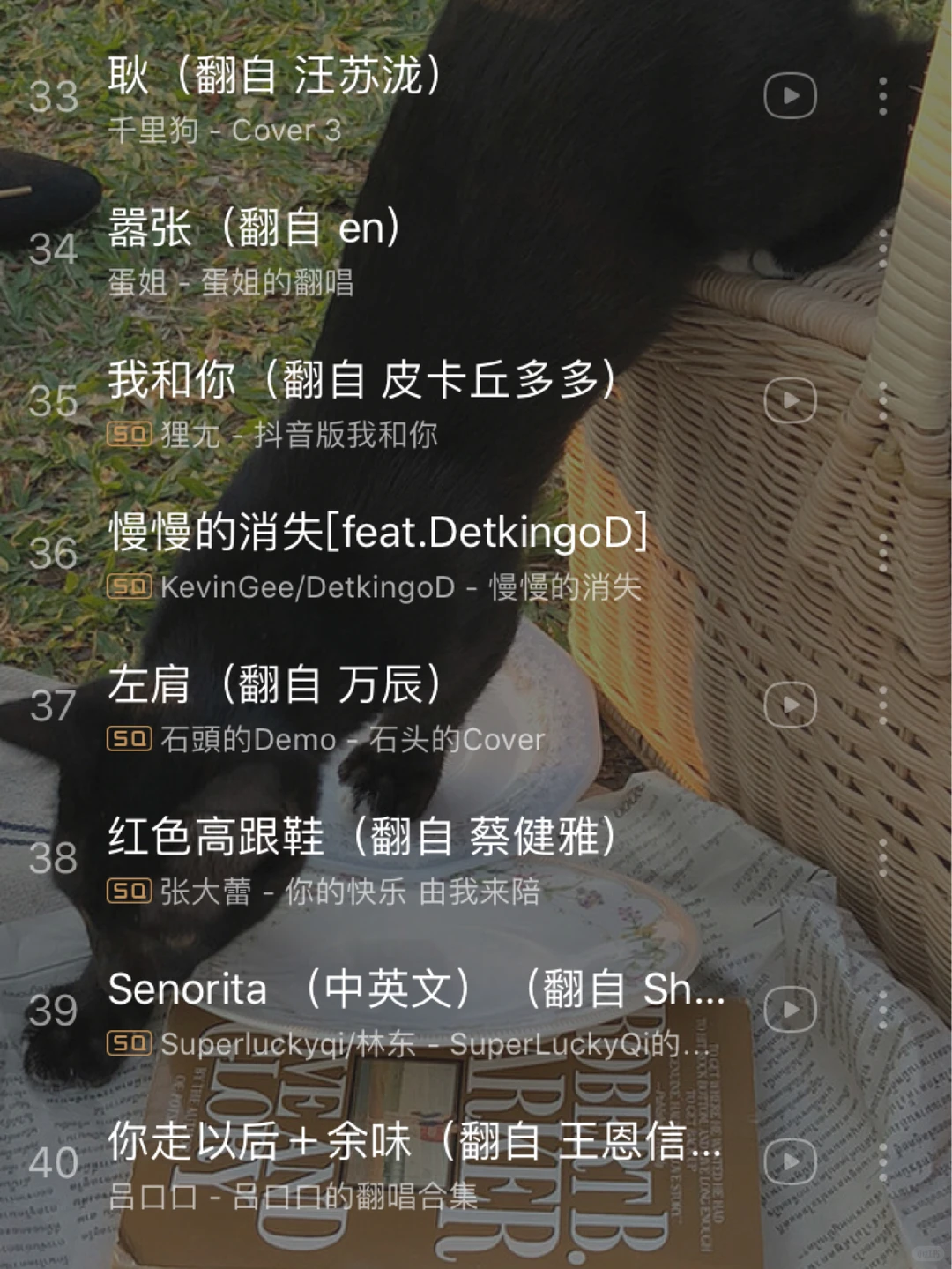 2020抖音最火歌单💥