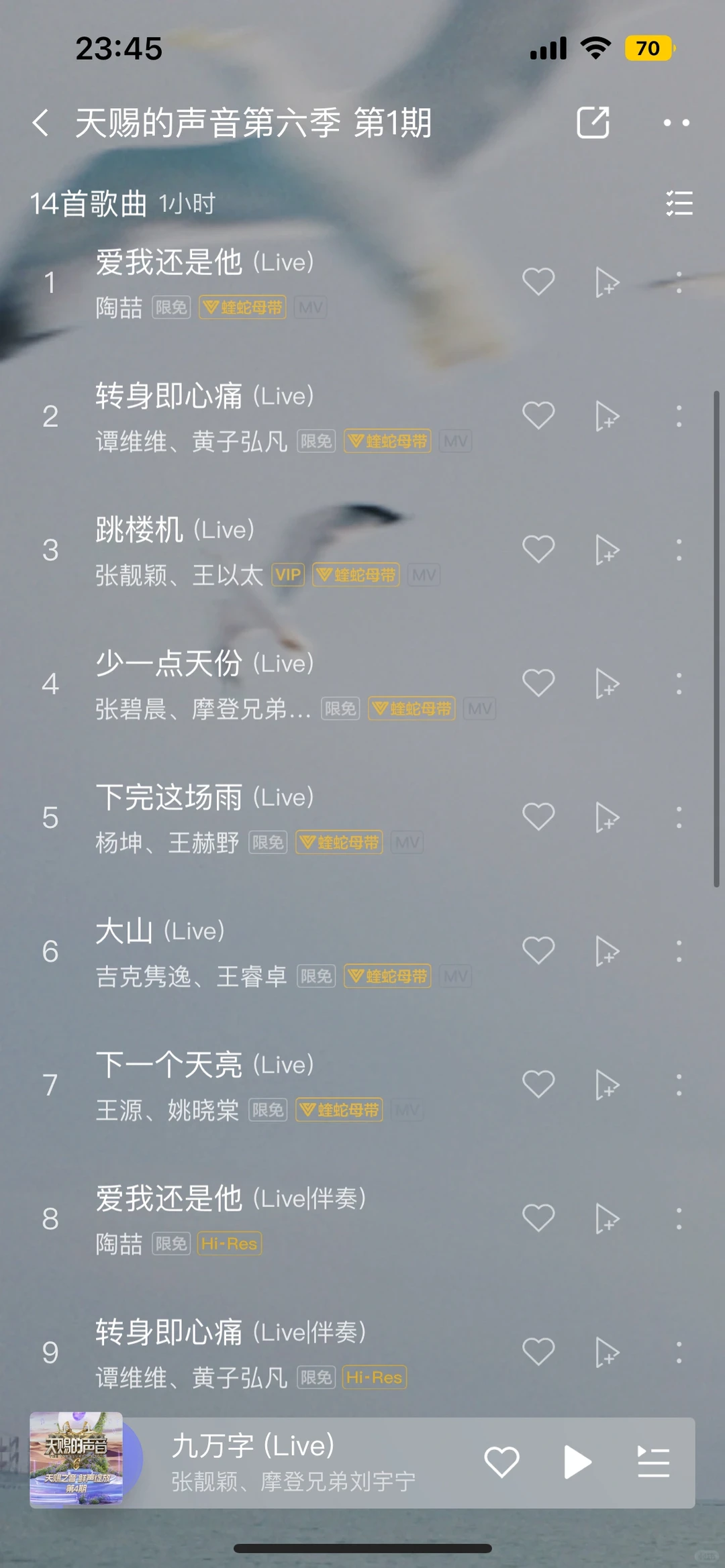 今年天赐的声音抖歌含量真高啊‼️