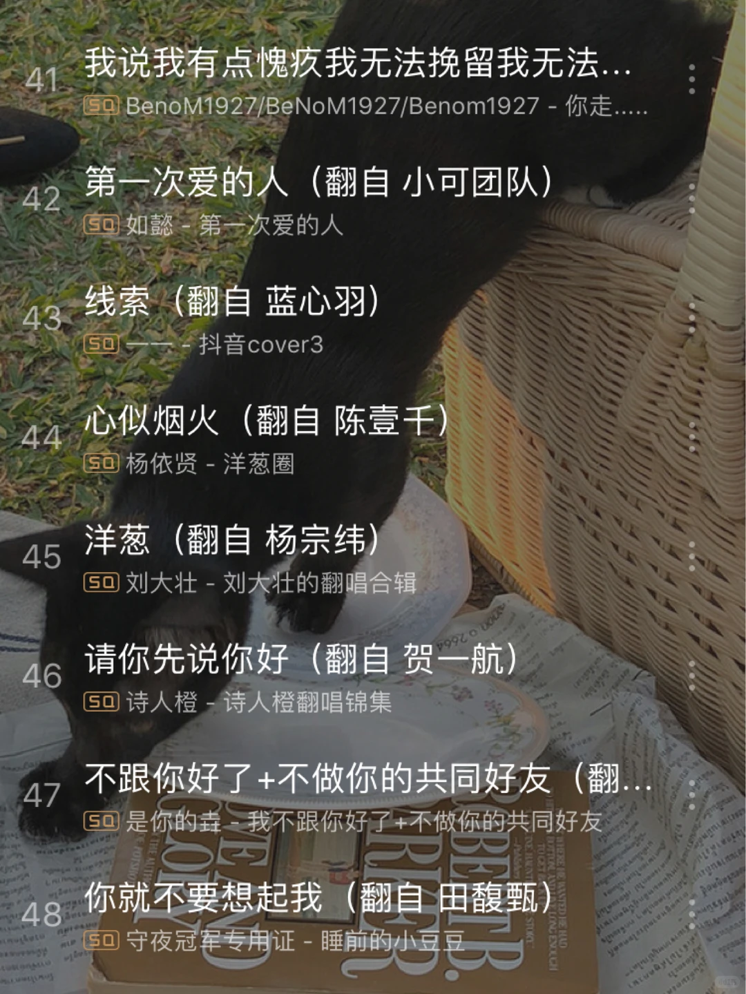 2020抖音最火歌单💥