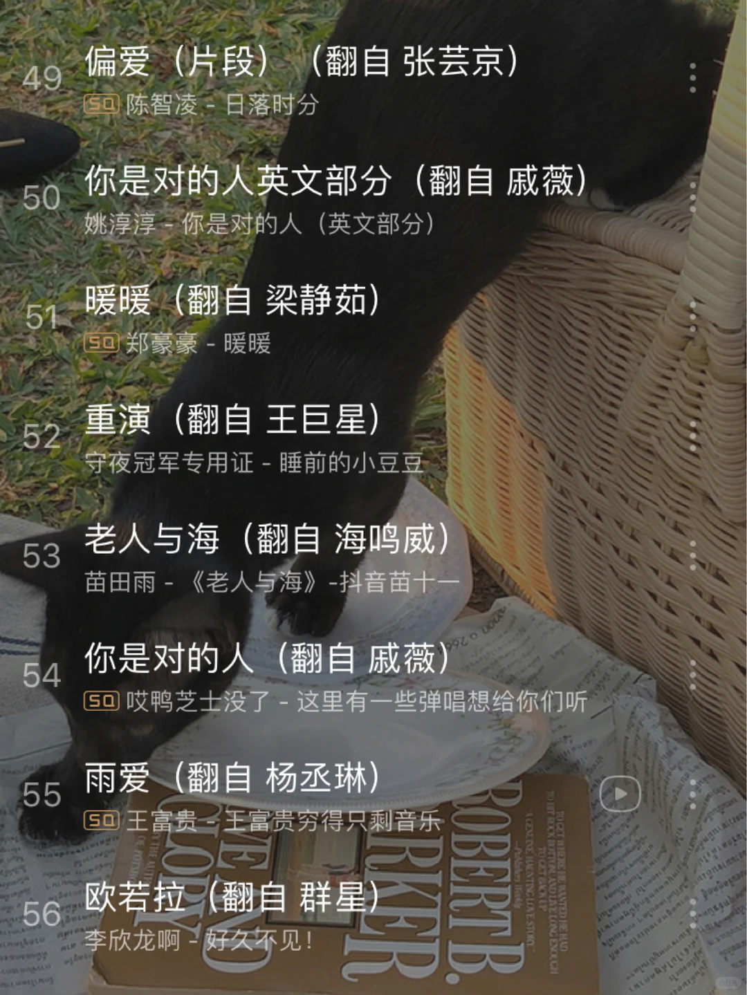 2020抖音最火歌单💥