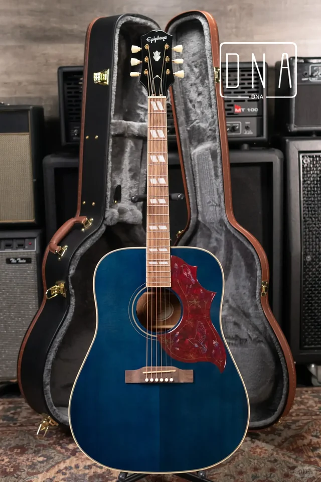 epiphone 蓝鸟 签名款