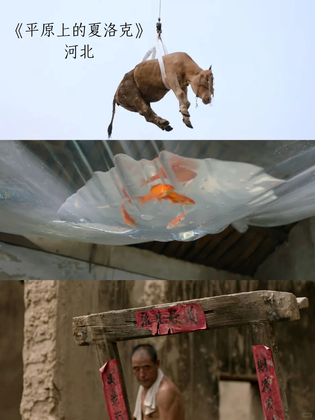 各省代表电影！你的家乡排面拉满了🎬