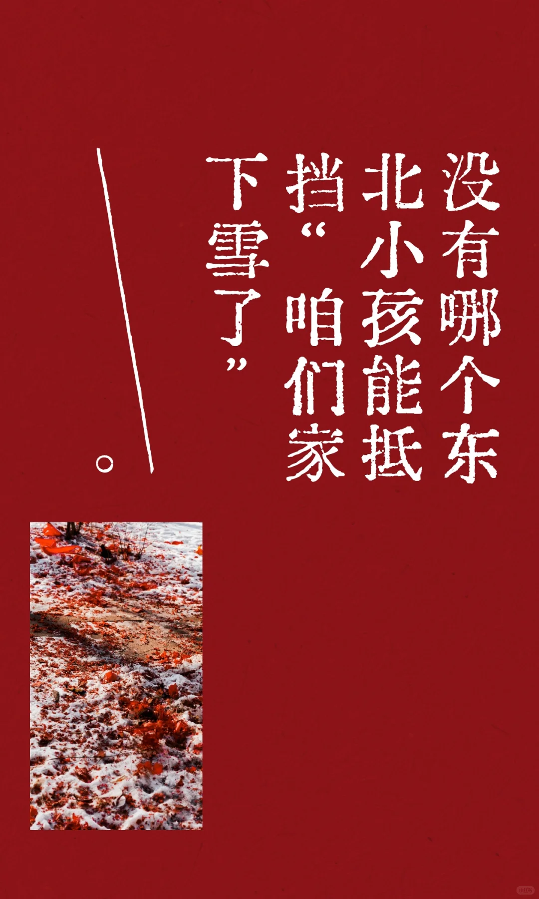 没有哪个东北小孩能抵挡“咱们家下雪了”